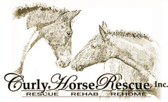 Curly Horse Rescue Organisation