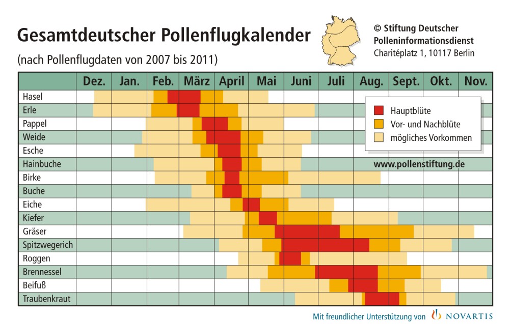 Pollenflugkalender Gesamtdeutschland | Zeitraum & Pollenflug Gräserallergie